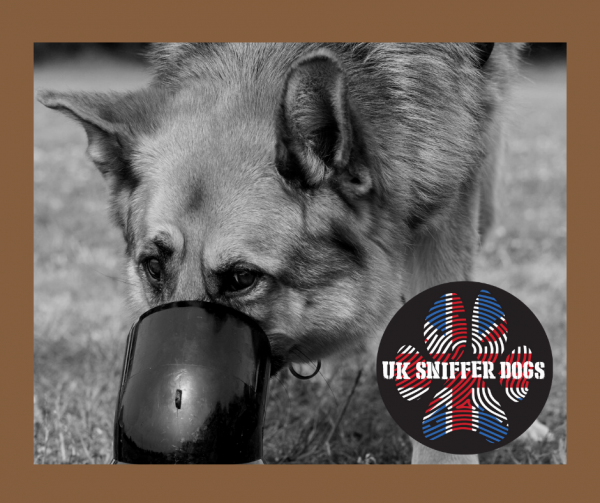 Bronze Online Scent Detection Course from UK Sniffer Dogs